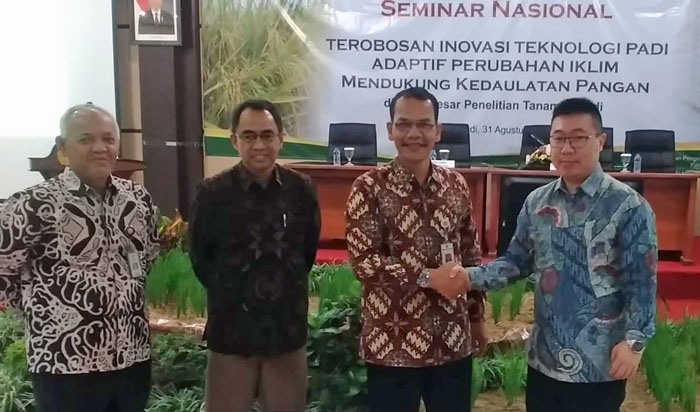 BB Padi Balitbangtan Kembangkan Varietas yang Toleran di Lahan Salin